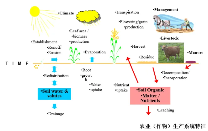 农业(作物)生产系统特征